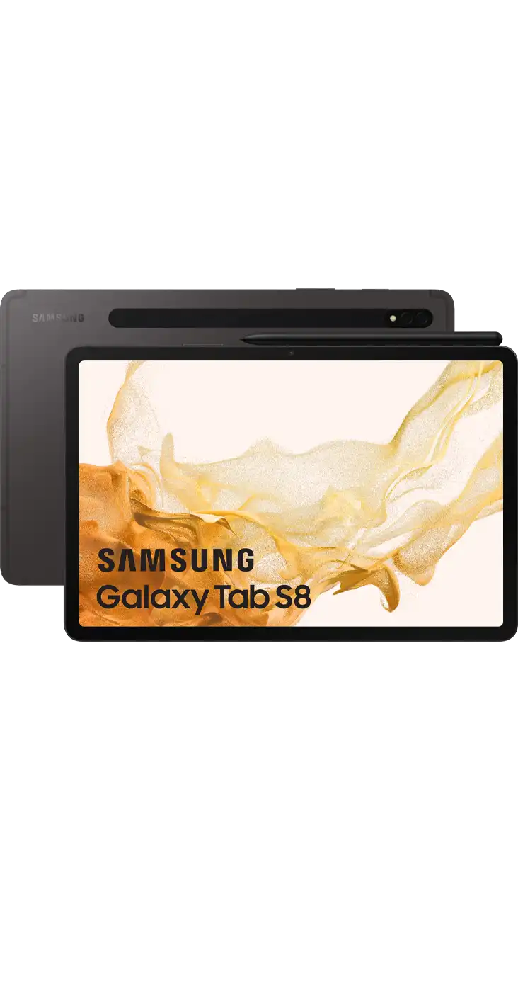 Samsung Galaxy Tab S8 Wi-Fi 256GB gris